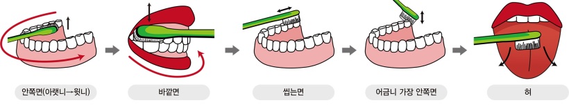 올바른 칫솔질 순서