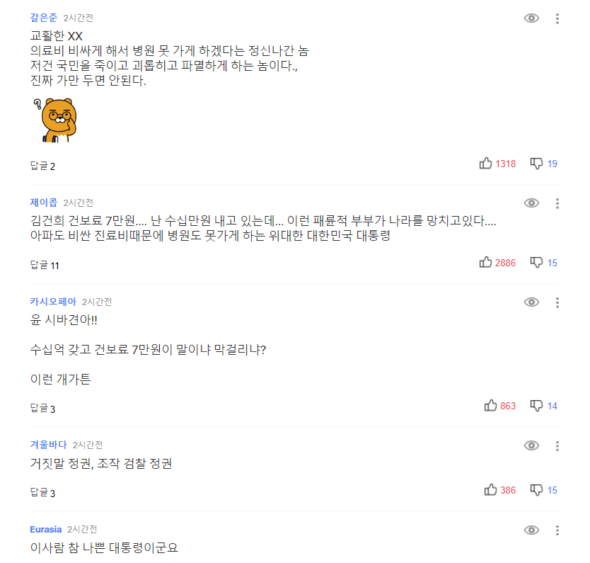 포털사이트 다음에 달린 건강보험 보장성 축소 관련 댓글들.