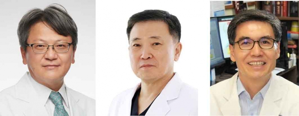 (왼쪽부터) 이필휴 세브란스병원 신경과 교수, 장진우 고려대학교 안암병원 신경외과 교수, 김동우 연세대학교 의과대학 생리학교실 교수 [사진=세브란스병원 제공] 